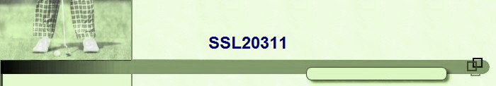 SSL20311